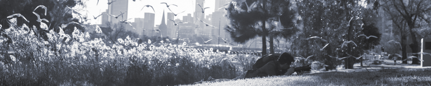 about-banner